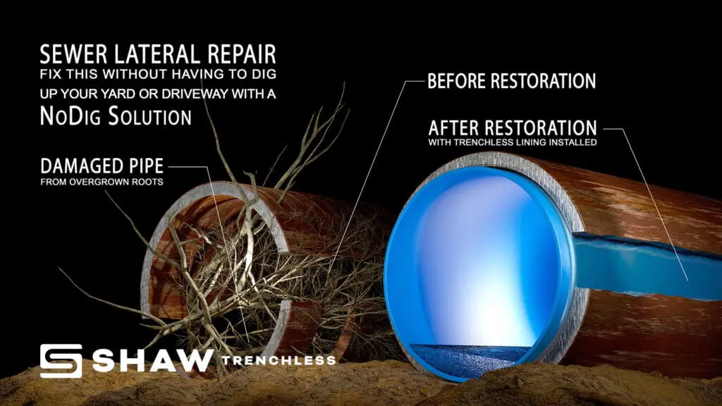 SHAW TRENCHLESS 3D IMAGES_1 SHAW TRENCHLESS 3D IMAGES_1