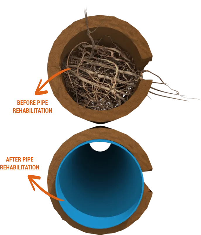 3D before & after