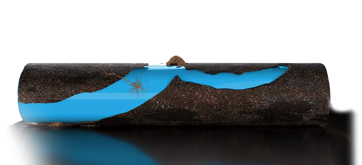 How effective is sewer lining How effective is sewer lining